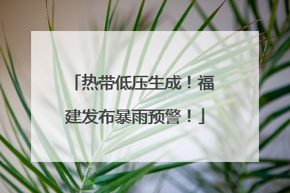 热带低压生成！福建发布暴雨预警！