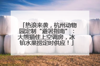 热浪来袭，杭州动物园定制“避暑指南”：大熊猫住上空调房，冰镇水果捞定时供应！