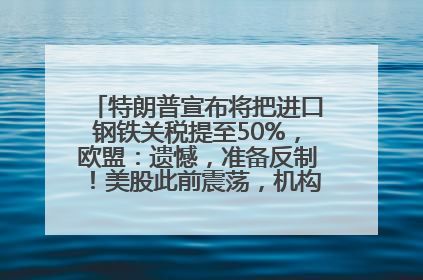 特朗普宣布将把进口钢铁关税提至50%，欧盟：遗憾，准备反制！美股此前震荡，机构：美元正进入熊市