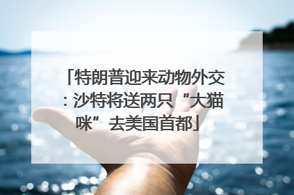 特朗普迎来动物外交：沙特将送两只“大猫咪”去美国首都