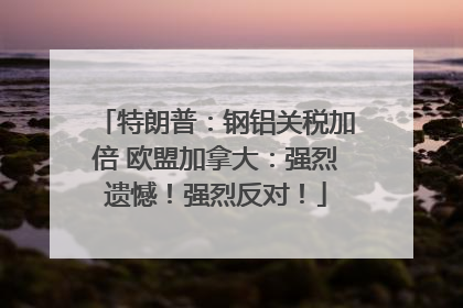 特朗普：钢铝关税加倍 欧盟加拿大：强烈遗憾！强烈反对！