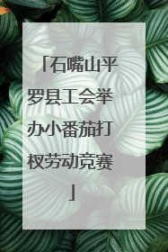 石嘴山平罗县工会举办小番茄打杈劳动竞赛