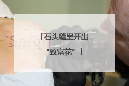 石头缝里开出“致富花”