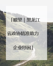 瞭望｜黑龙江省政协精准助力企业纾困