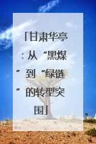 甘肃华亭：从“黑煤”到“绿链”的转型突围