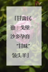 甘肃民勤：戈壁沙乡孕育“甘味”领头羊