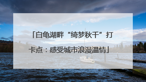 白龟湖畔“绮梦秋千”打卡点：感受城市浪漫温情