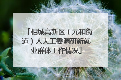 相城高新区（元和街道）人大工委调研新就业群体工作情况