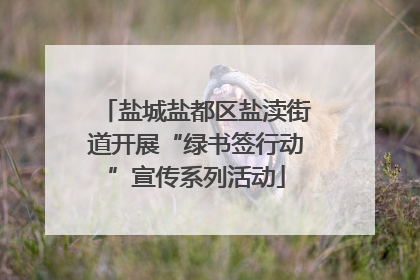 盐城盐都区盐渎街道开展“绿书签行动”宣传系列活动