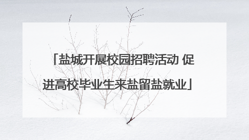 盐城开展校园招聘活动 促进高校毕业生来盐留盐就业