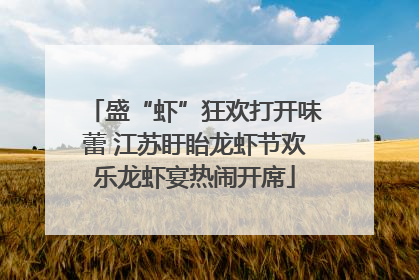 盛“虾”狂欢打开味蕾 江苏盱眙龙虾节欢乐龙虾宴热闹开席