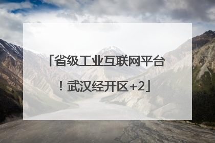 省级工业互联网平台！武汉经开区+2