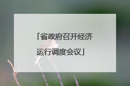 省政府召开经济运行调度会议