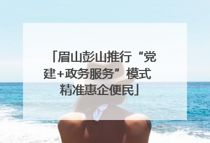 眉山彭山推行“党建+政务服务”模式 精准惠企便民