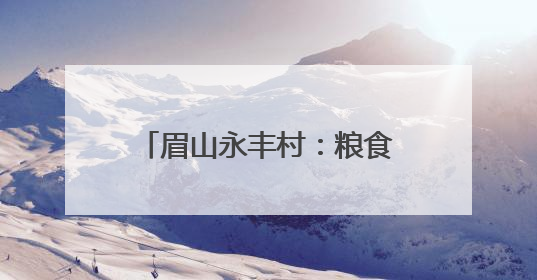 眉山永丰村：粮食总产突破4600吨 村集体经济收入三年倍增｜牵挂的村