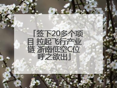 签下20多个项目 拉起飞行产业链 浙南低空C位呼之欲出