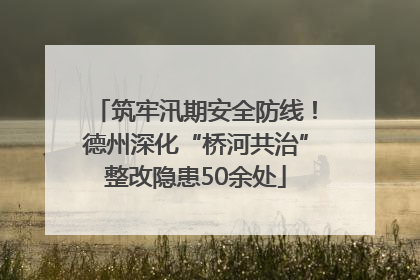 筑牢汛期安全防线！德州深化“桥河共治”整改隐患50余处