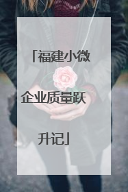 福建小微企业质量跃升记