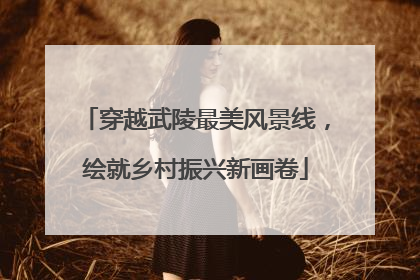 穿越武陵最美风景线，绘就乡村振兴新画卷