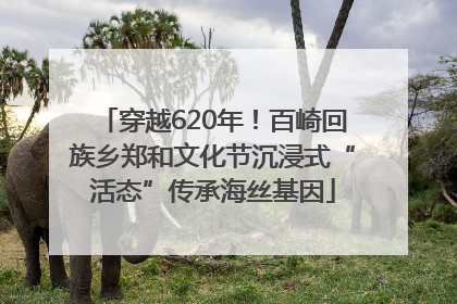 穿越620年！百崎回族乡郑和文化节沉浸式“活态”传承海丝基因