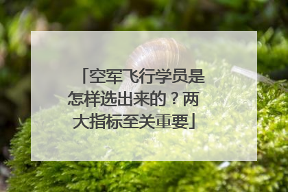 空军飞行学员是怎样选出来的？两大指标至关重要
