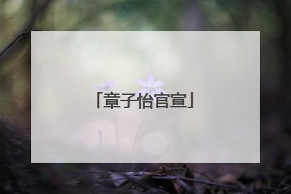 章子怡官宣