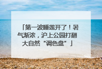 第一波睡莲开了！暑气渐浓，沪上公园打翻大自然“调色盘”