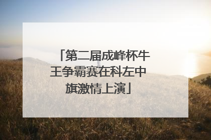 第二届成峰杯牛王争霸赛在科左中旗激情上演