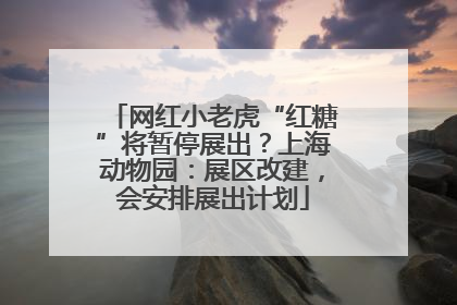 网红小老虎“红糖”将暂停展出？上海动物园：展区改建，会安排展出计划