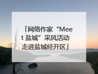 网络作家“Meet 盐城”采风活动走进盐城经开区