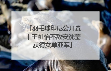 羽毛球印尼公开赛｜王祉怡不敌安洗莹 获得女单亚军