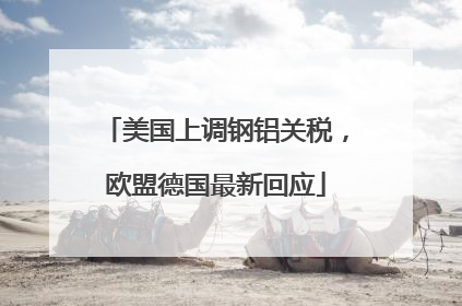 美国上调钢铝关税，欧盟德国最新回应