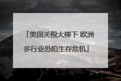 美国关税大棒下 欧洲多行业恐陷生存危机