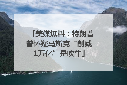 美媒爆料：特朗普曾怀疑马斯克“削减1万亿”是吹牛