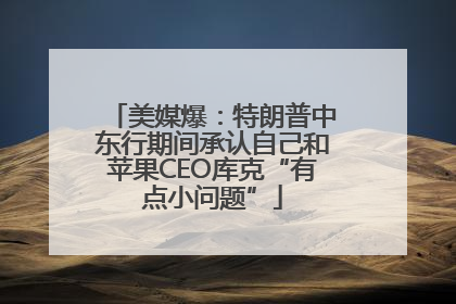 美媒爆：特朗普中东行期间承认自己和苹果CEO库克“有点小问题”