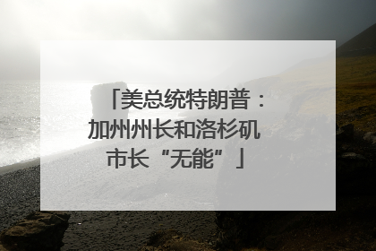 美总统特朗普：加州州长和洛杉矶市长“无能”
