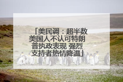 美民调：超半数美国人不认可特朗普执政表现 强烈支持者热情降温