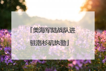 美海军陆战队进驻洛杉矶执勤