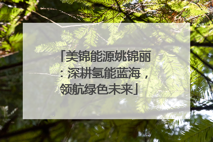 美锦能源姚锦丽：深耕氢能蓝海，领航绿色未来