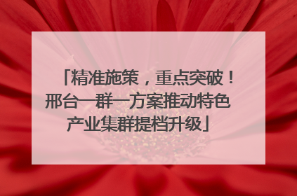 精准施策，重点突破！邢台一群一方案推动特色产业集群提档升级