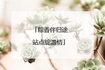 粽香伴归途 站点绽温情