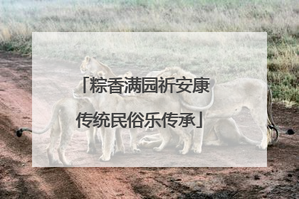 粽香满园祈安康 传统民俗乐传承