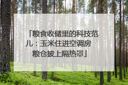 粮食收储里的科技范儿：玉米住进空调房 粮仓披上隔热罩