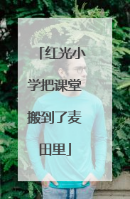 红光小学把课堂搬到了麦田里