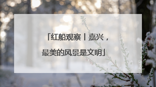 红船观察丨嘉兴，最美的风景是文明