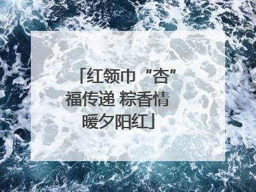 红领巾“杏”福传递 粽香情暖夕阳红