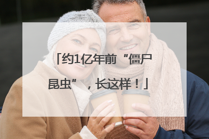 约1亿年前“僵尸昆虫”，长这样！