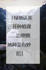 绿地认养、开种植课……治理圈地种菜有妙招