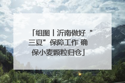 组图丨沂南做好“三夏”保障工作 确保小麦颗粒归仓