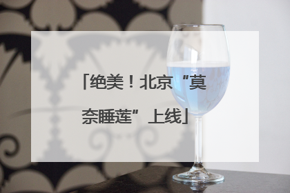 绝美！北京“莫奈睡莲”上线